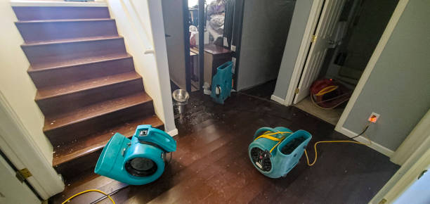 Best Water damage cleanup near me  in Mccook, NE