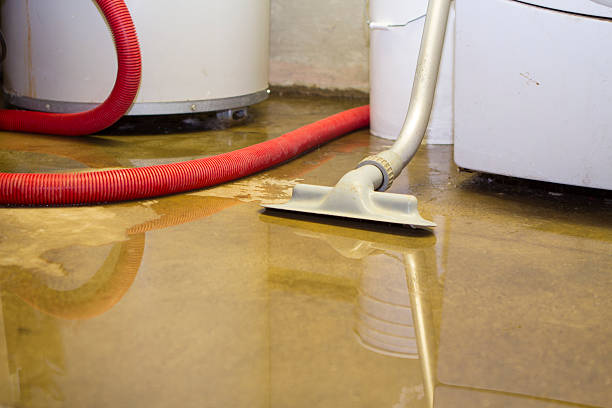 Best Sewage cleanup and water damage restoration  in Mccook, NE