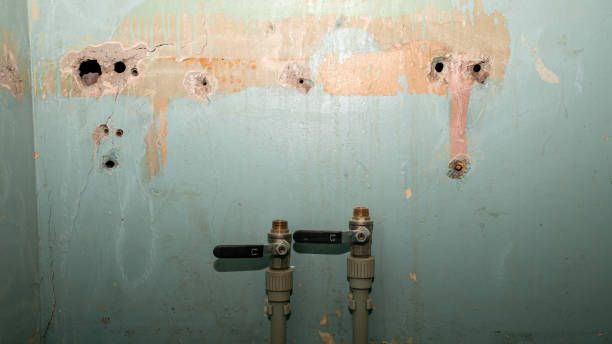 Best Fire Damage Restoration  in Mccook, NE