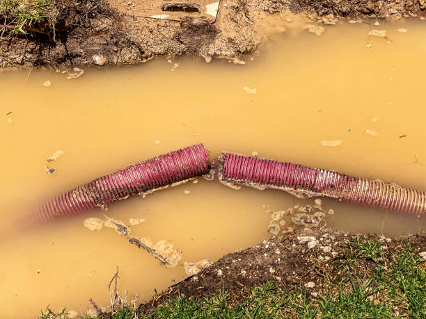 Best Water damage restoration near me  in Mccook, NE