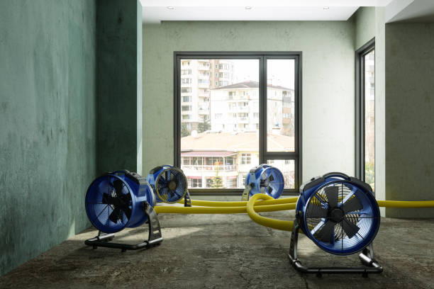 Best Basement water damage restoration  in Mccook, NE